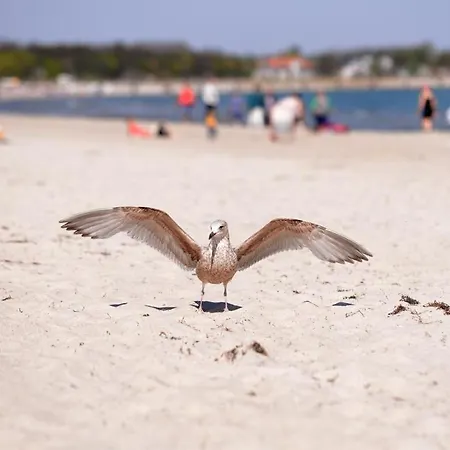 Gezeiten App 3 Goldrichtig アパート