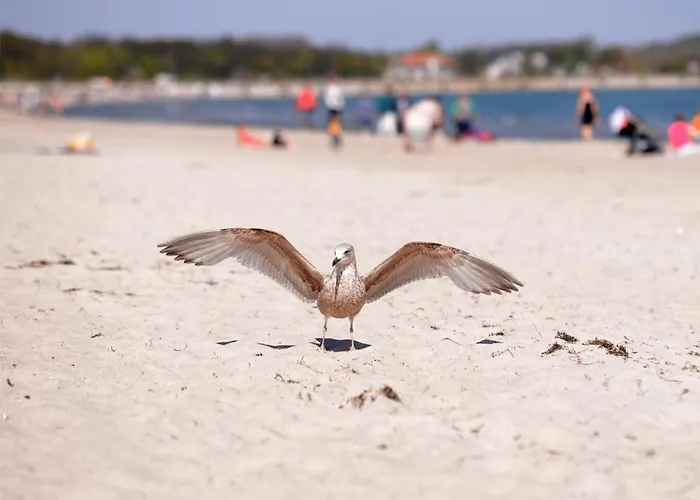 Gezeiten App 3 Goldrichtig Apartman